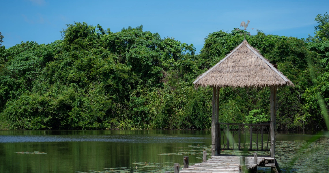 Tri Vananda  luxury villas land scape