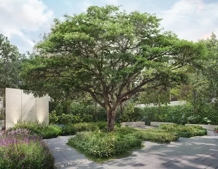 ROMM Convent - Garden