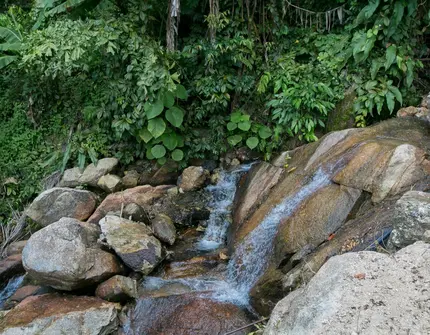 Villa Cascade  Kamala Headland - water fall
