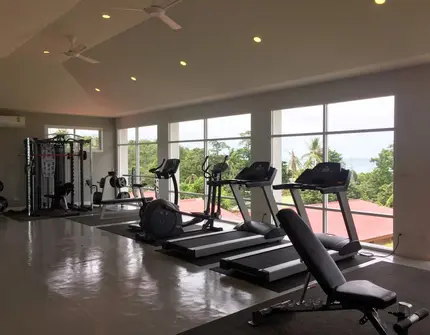 Horizon 32 gym